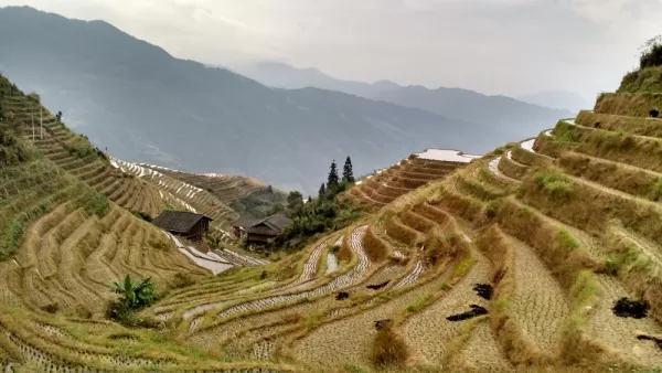 Rice terraces. Adventures in China!